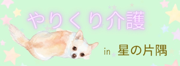 やりくり介護㏌星の片隅