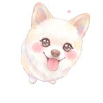 こっちゃん